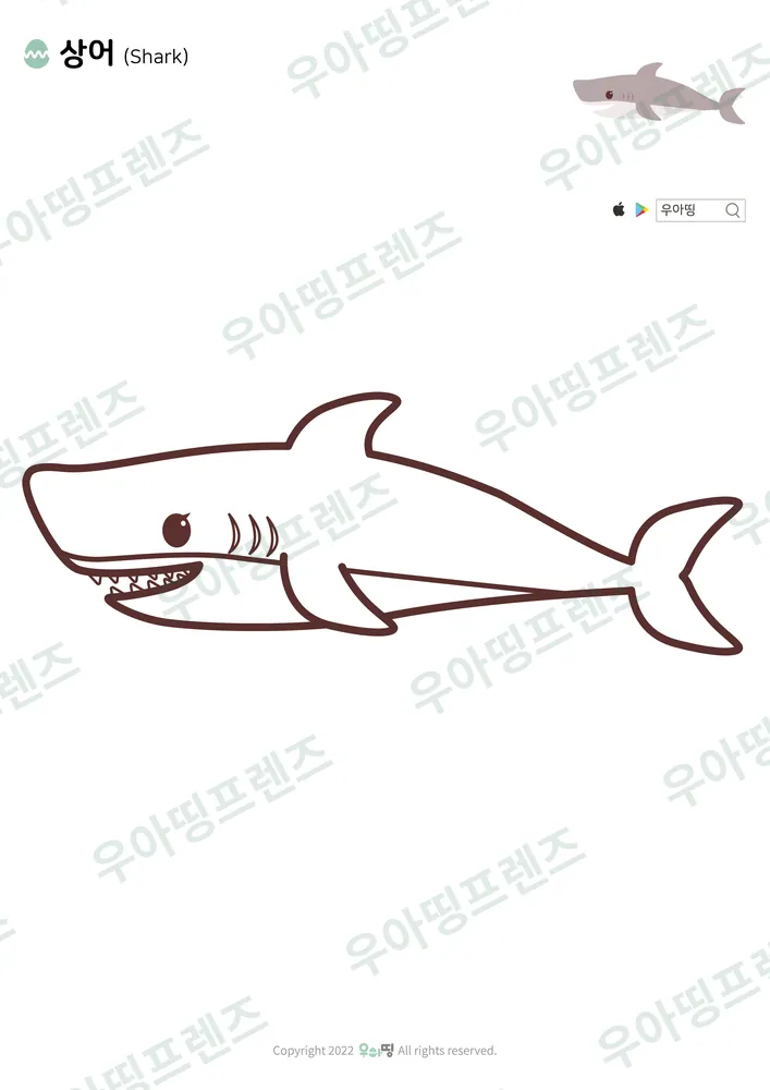 상어 색칠공부 도안 미리보기