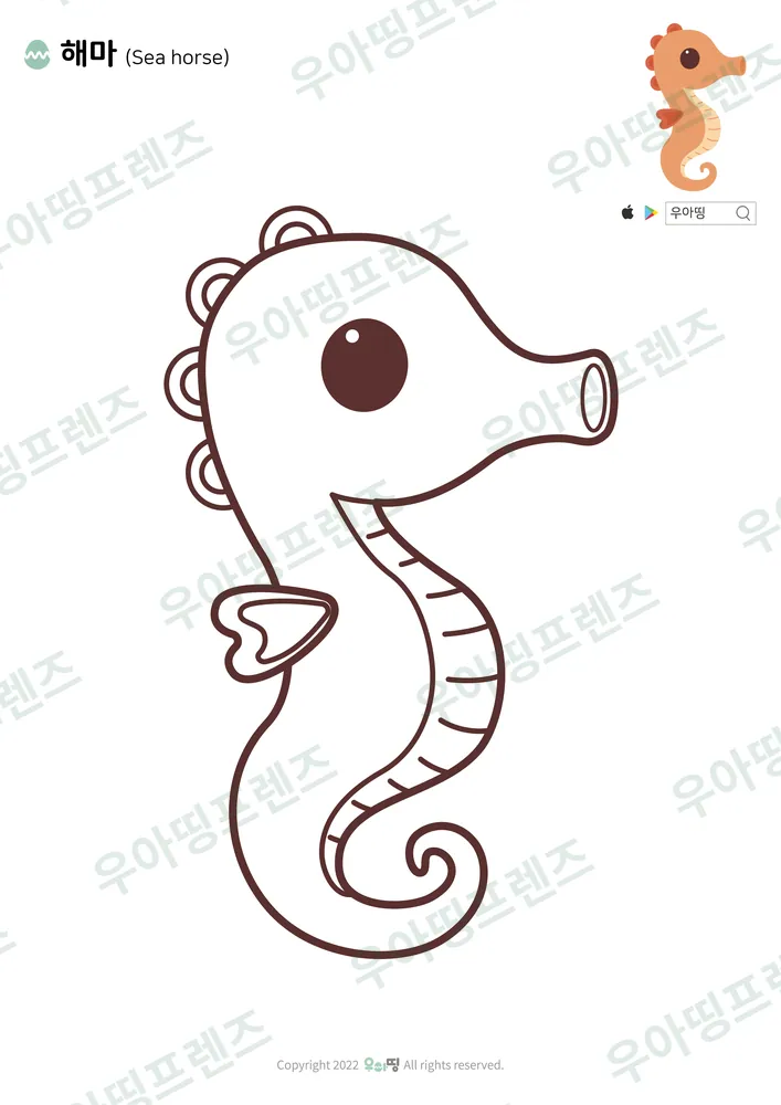 해마 색칠공부 미리보기
