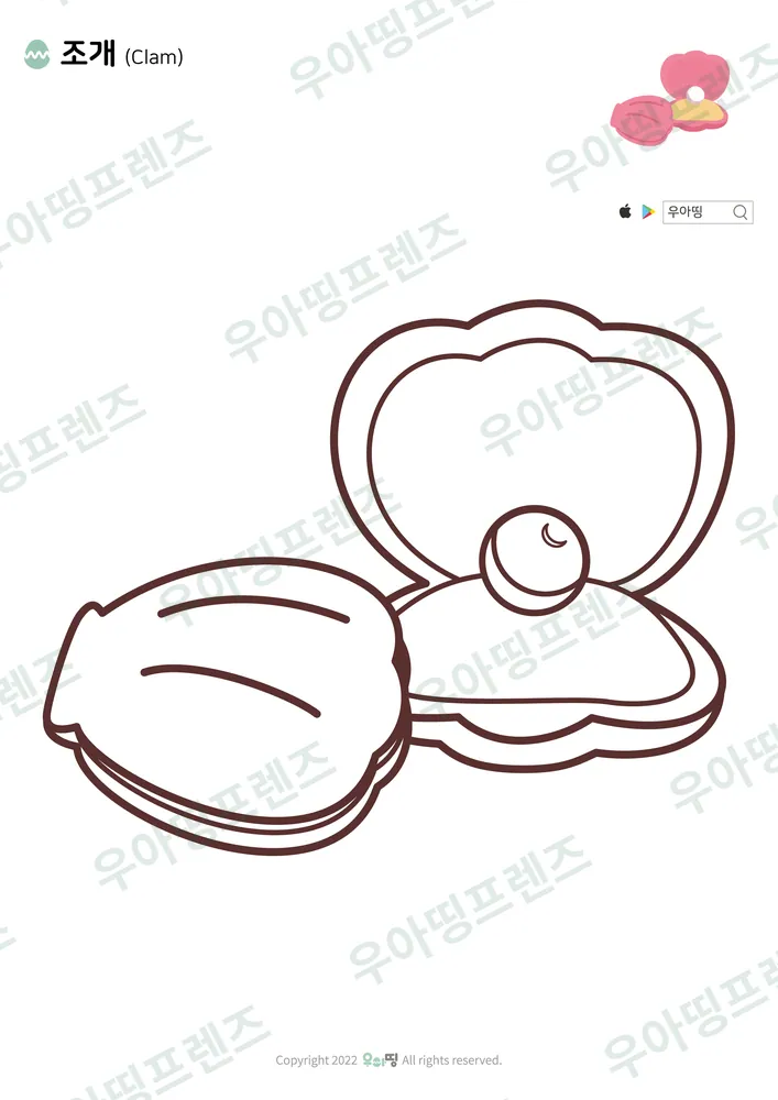 조개 색칠공부 도안 미리보기