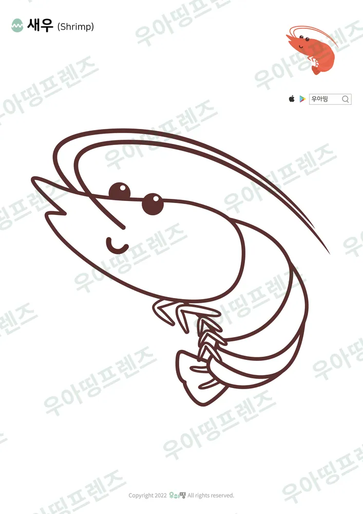 새우 색칠공부 미리보기