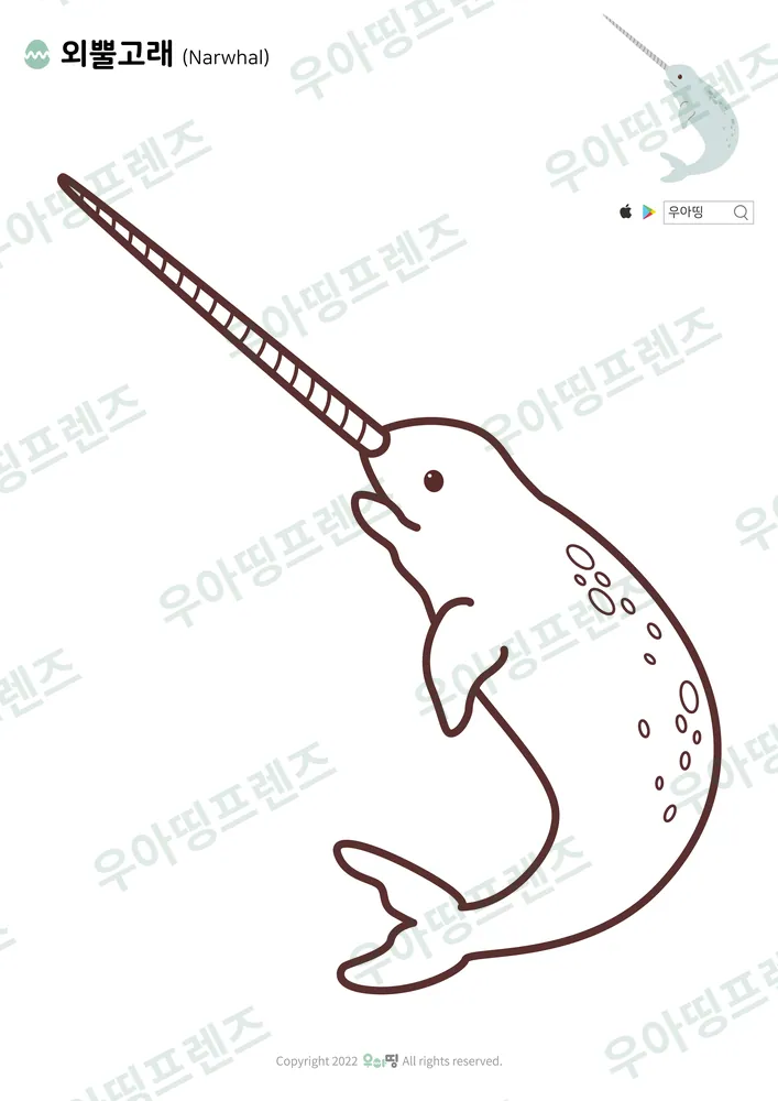외뿔고래 색칠공부 미리보기