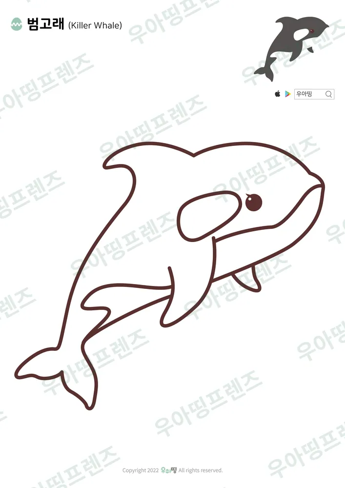 귀여운 범고래 색칠공부 도안 미리보기