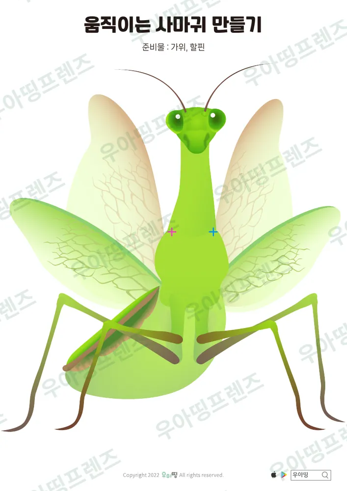 움직이는 사마귀 만들기 도안 미리보기