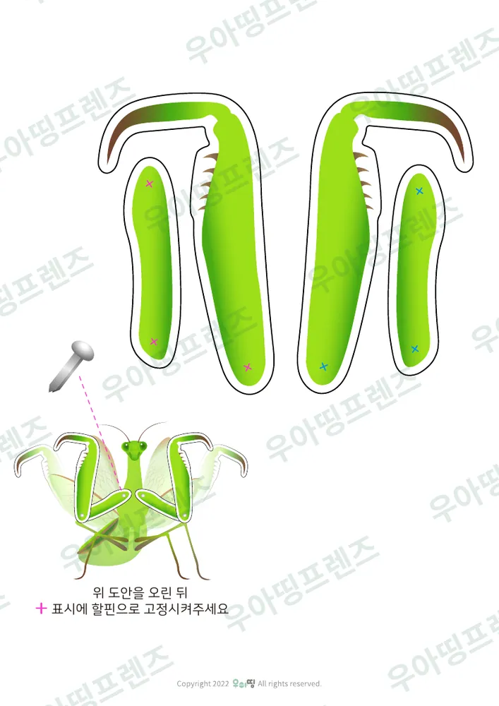 2쪽
