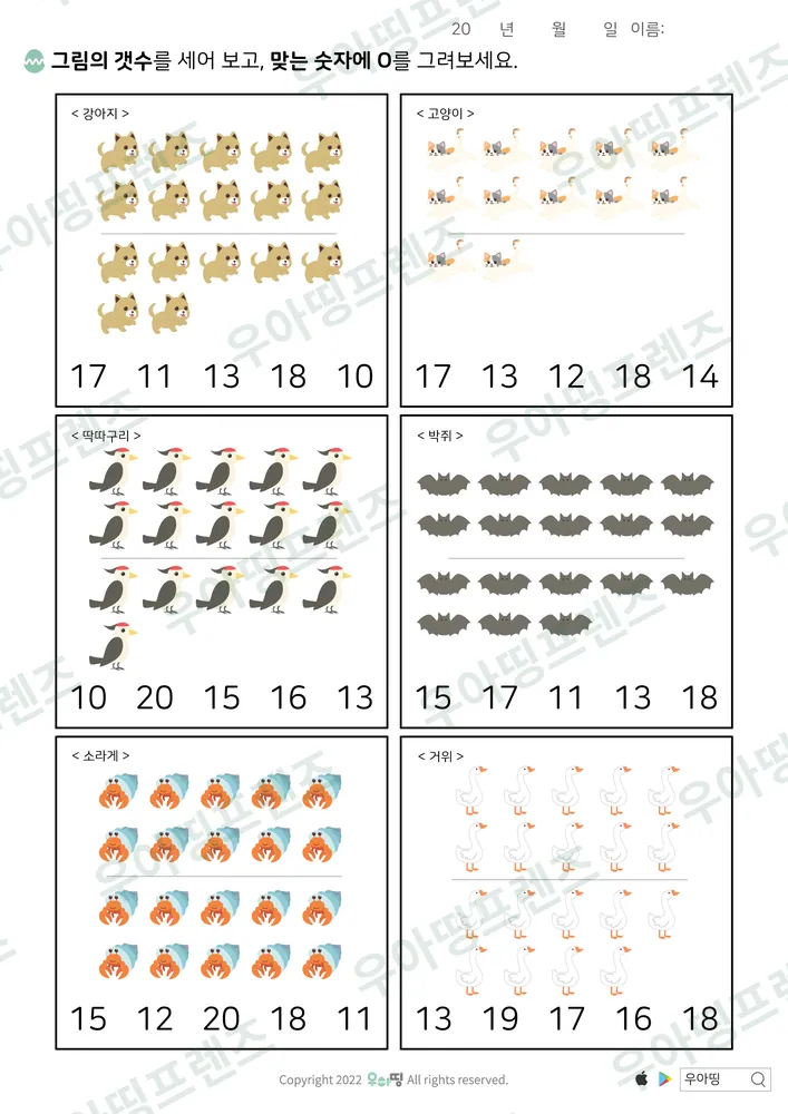 딱따구리 10~20 개수 고르기 미리보기