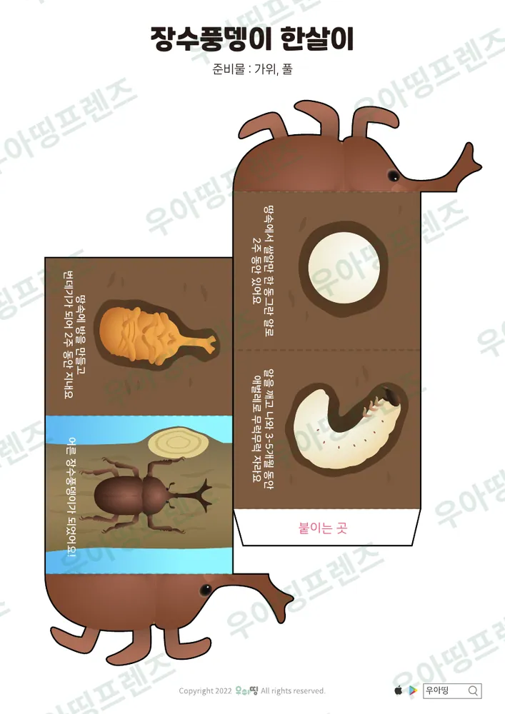1쪽