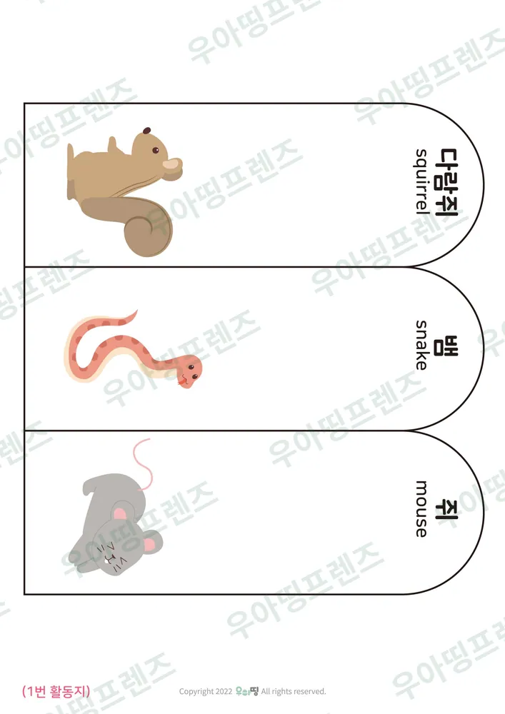 11쪽